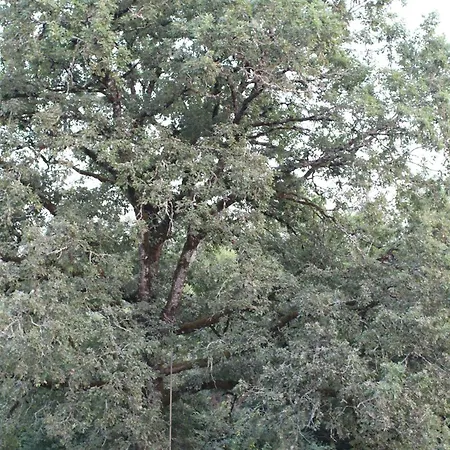 écolodge Entre Nature&silence Au Coeur Du Quercy Hébergement de vacances *