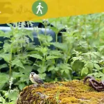 Entre Nature & Silence Au Coeur Du Quercy Feriehus