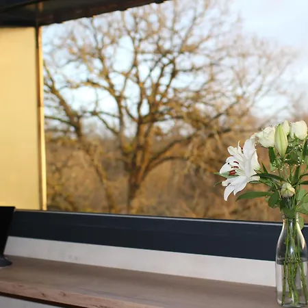 Entre Nature & Silence Au Coeur Du Quercy *