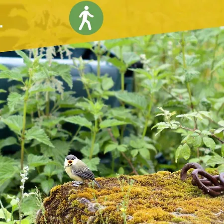 Entre Nature & Silence Au Coeur Du Quercy بيت للعطل