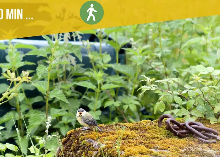 Entre Nature & Silence Au Coeur Du Quercy Prázdninový dům