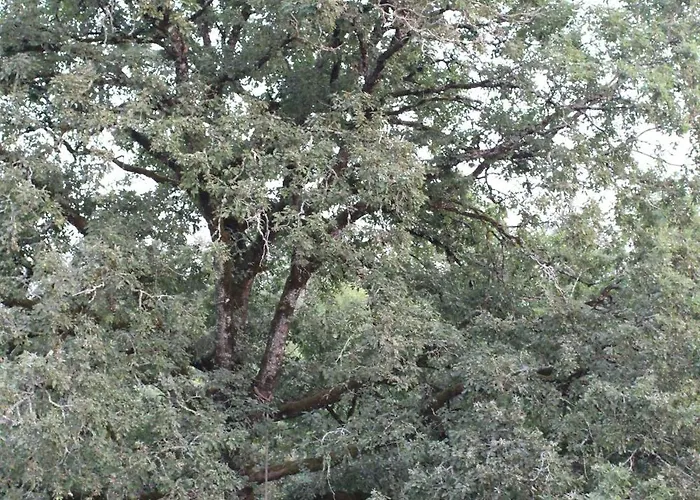 Entre Nature & Silence Au Coeur Du Quercy Prázdninový dům *